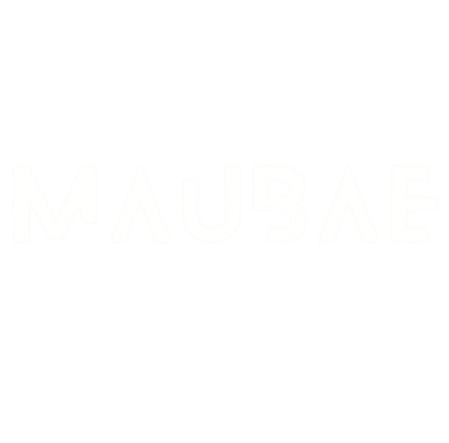 Screenshot_2024-12-20_005904-removebg-preview (1) (1)