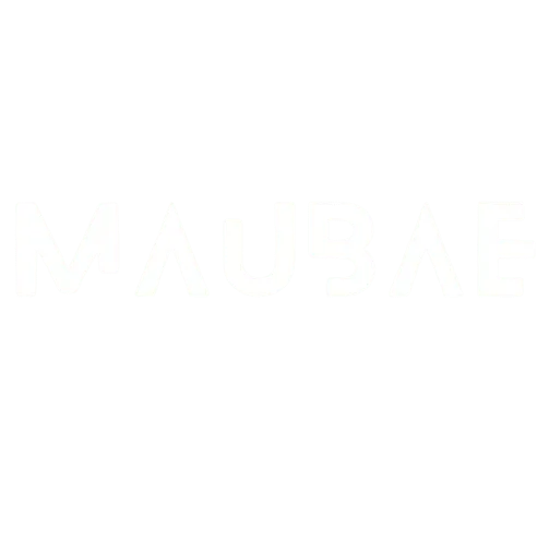 Screenshot_2024-12-20_005904-removebg-preview (1) (1)